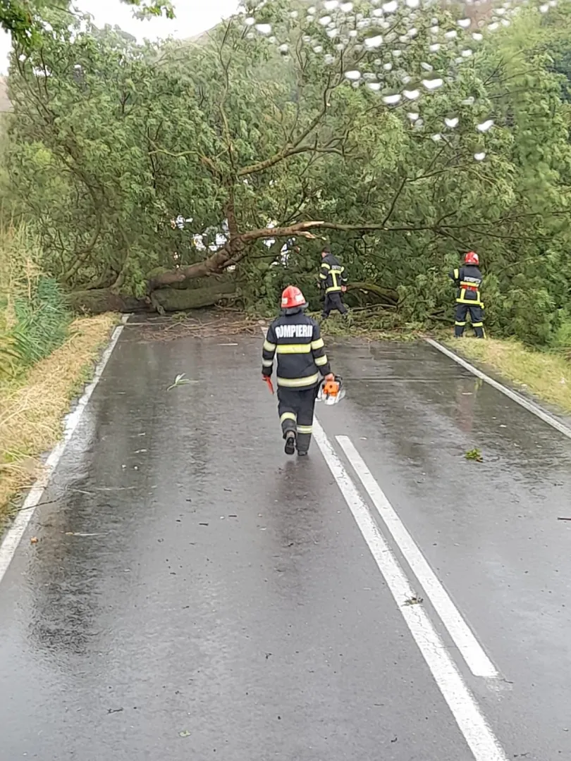 Tulcea: Gospodării inundate și copaci căzuți pe carosabil – foto 7