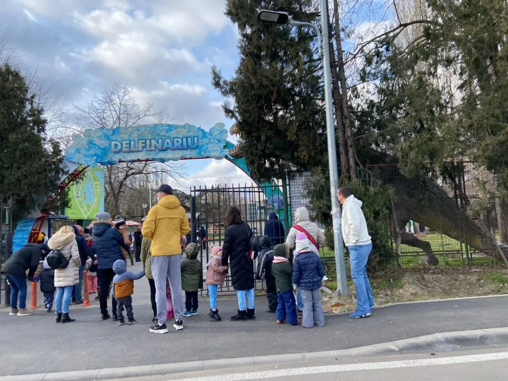 Vizită de weekend la Complexul Muzeal de Științe ale Naturii Constanța – foto 3