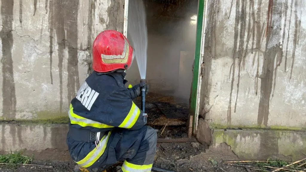 Județul Tulcea: Incendiu la un grajd dezafectat – foto 2