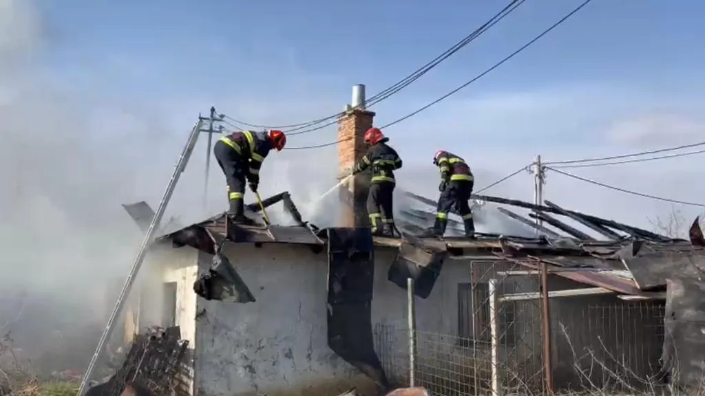 Județul Tulcea: Incendiu la un grajd dezafectat – foto 3