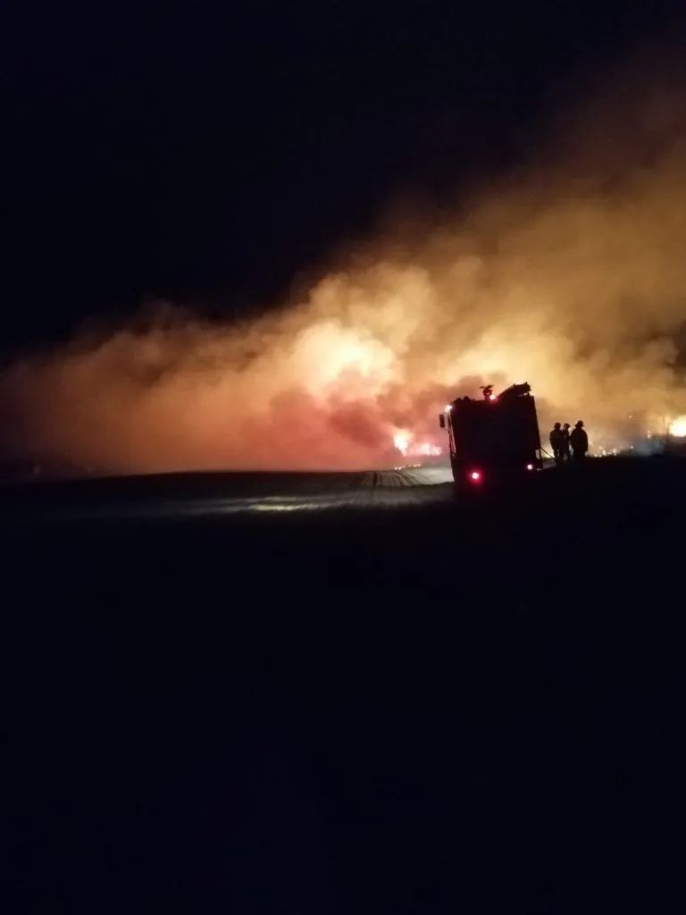 Incendiu în zona unei gări din județul Tulcea. Au ars 3 hectare de stuf – foto 2