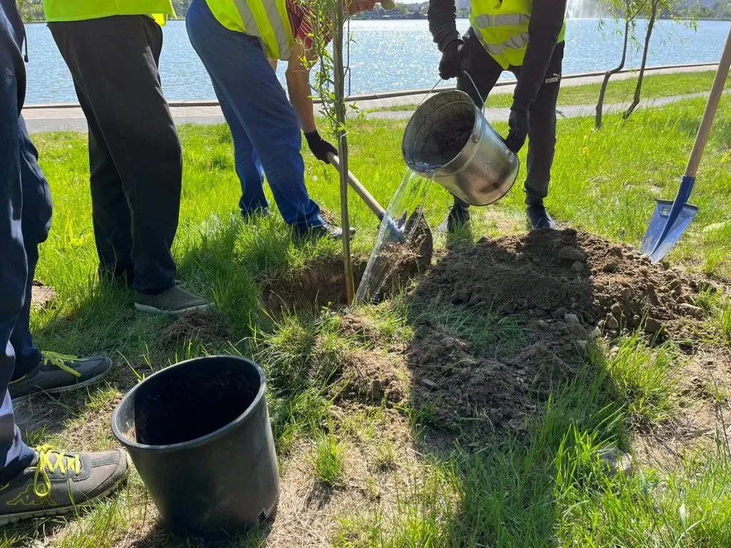 Plantări de arbori în Parcul Ciuperca din Tulcea – foto 5