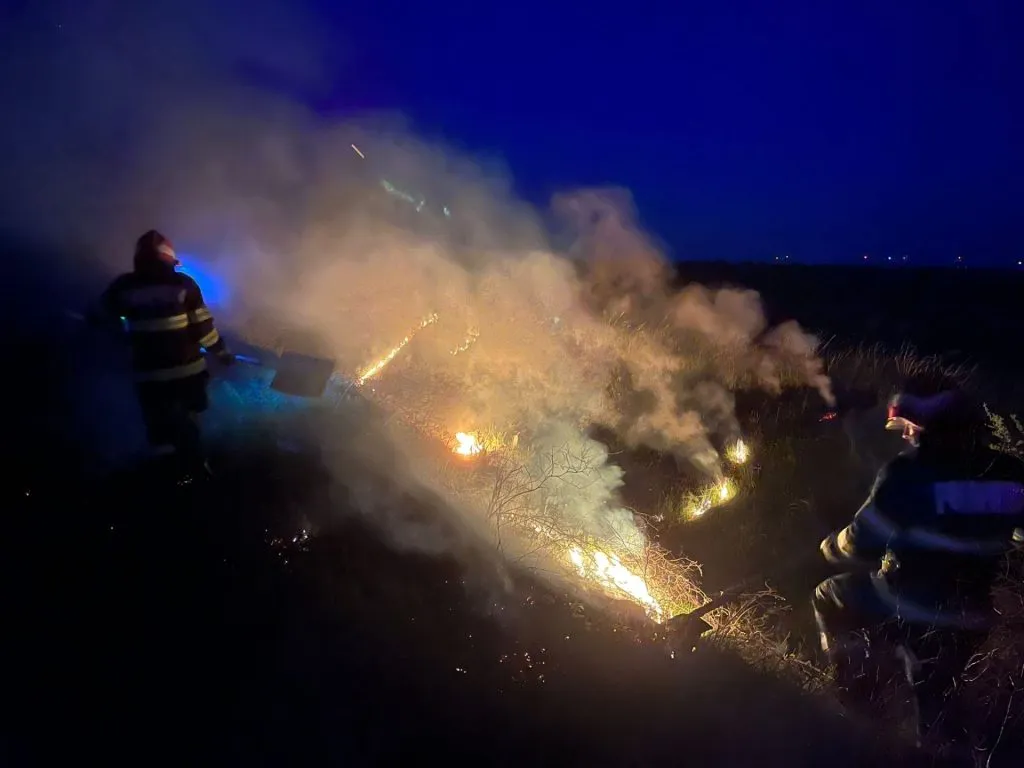 Incendiu de vegetație uscată în județul Tulcea – foto 2