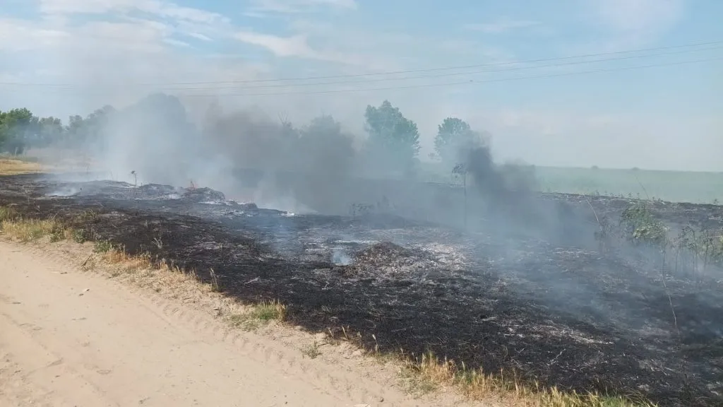 După-amiază de foc pentru pompierii din Tulcea! – foto 3