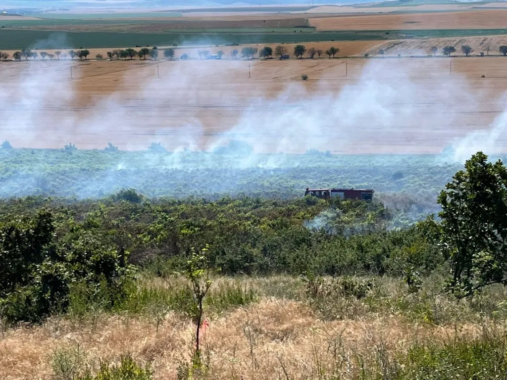 UPDATE – Județul Tulcea: Cultură de vie, în flăcări – foto 5
