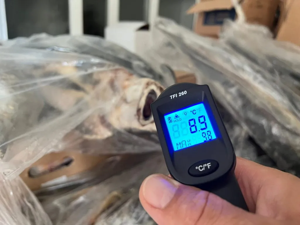 Constanța: Sute de kilograme de pește și fructe de mare congelate, depozitate „la temperatura camerei” – foto 3