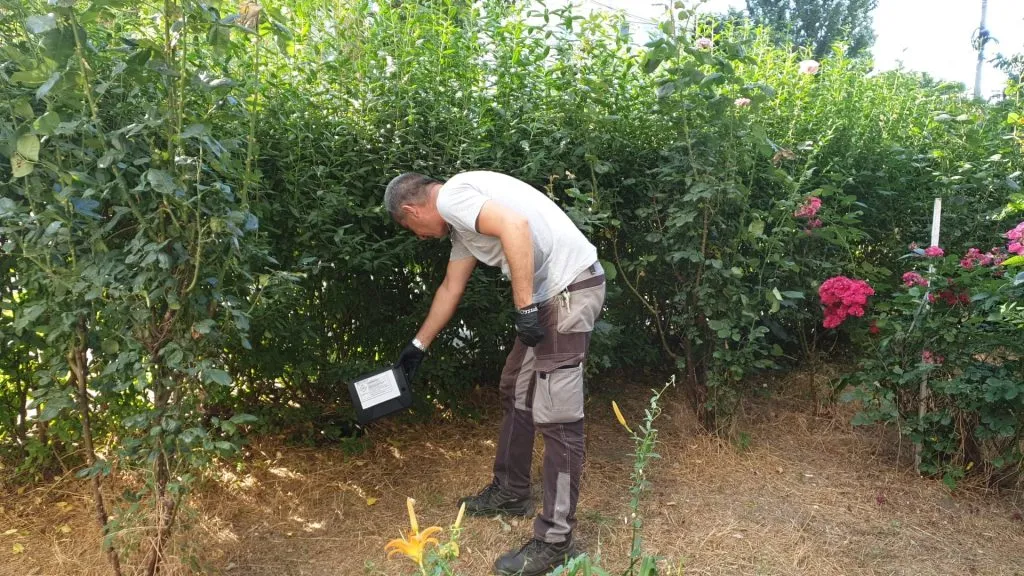 Dezinsecție și deratizare în toate cartierele Constanței – foto 3