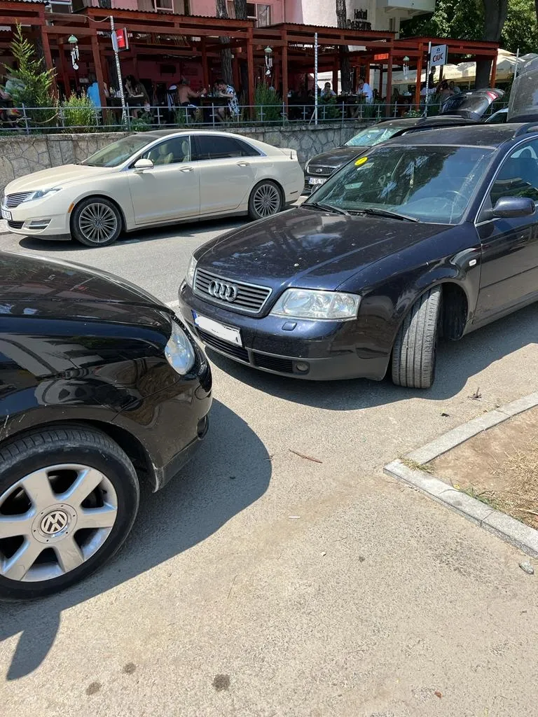 Lăsați în mașină, în plină caniculă! Un câine a murit în chinuri! – foto 2