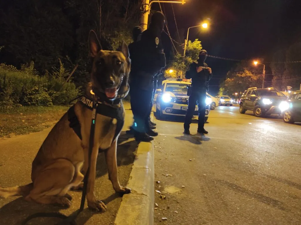Constanța: Mai mulți șoferi au fost prinși drogați și băuți la volan – foto 2