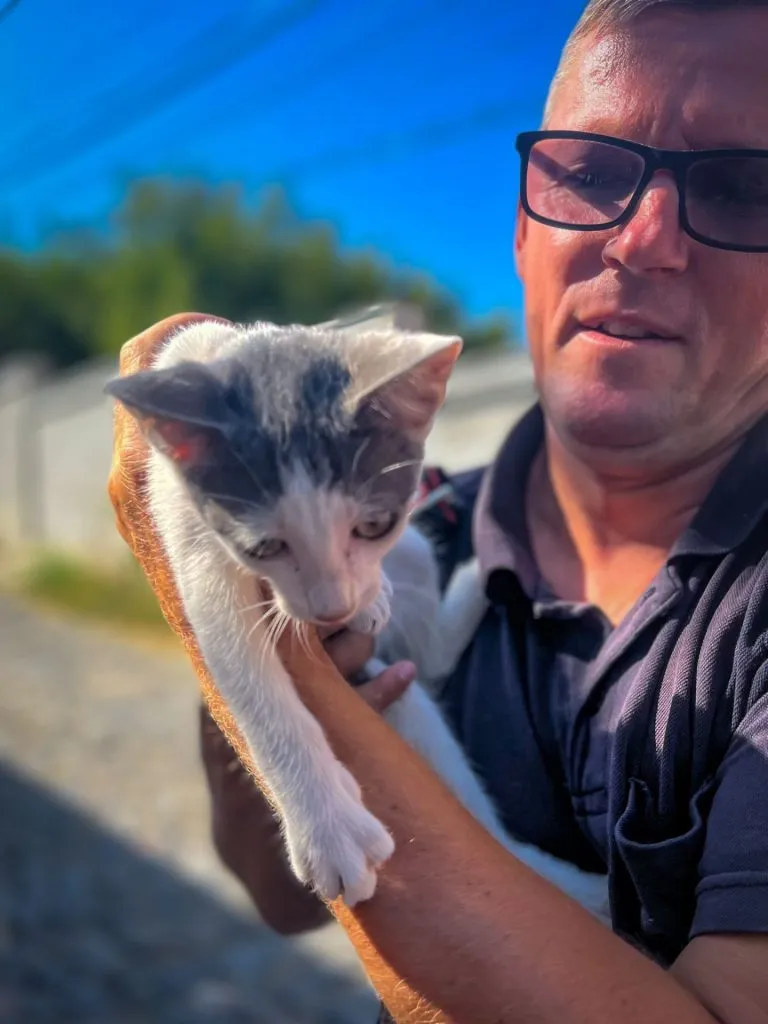 Misiune specială a pompierilor tulceni: Au salvat o pisicuță dintr-o clădire părăsită – foto 4