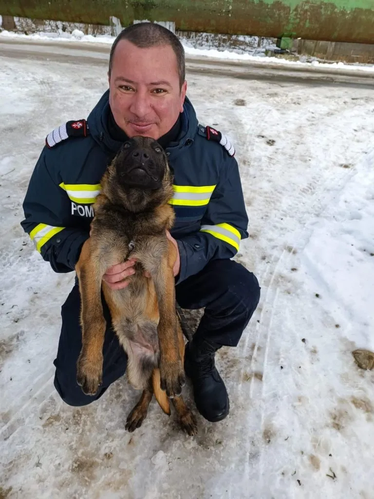 Ziua internațională a celui mai bun prieten al omului – foto 3