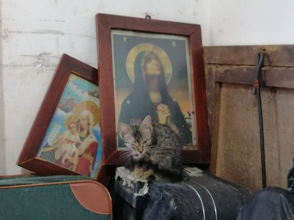 Un bătrân bolnav din Constanța a salvat zeci de vieți – foto 2