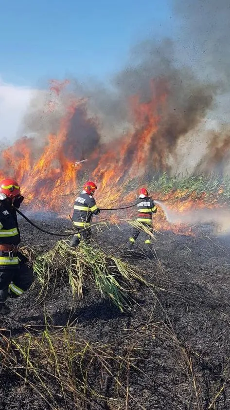 Județul Tulcea: Incendiu de vegetație uscată în apropiere de Grindu – foto 3
