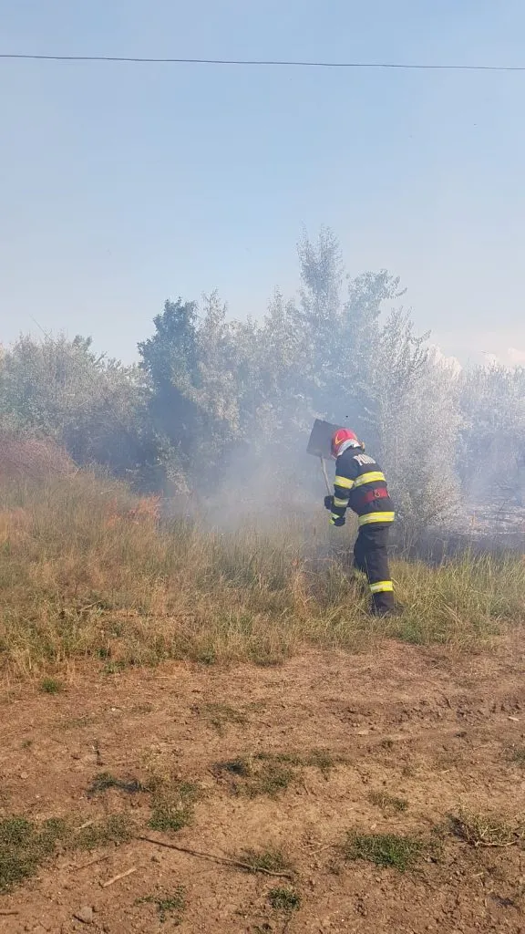 Județul Tulcea: Incendiu de vegetație uscată în apropiere de Grindu – foto 4