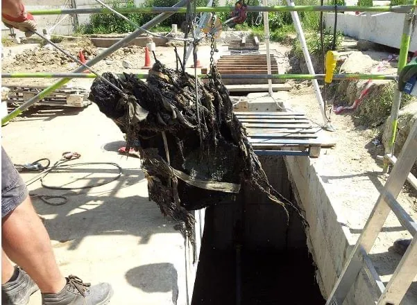 De la cai și capete de porc la frigidere și covoare. Ce mai aruncă românii în canalizare?  – foto 3