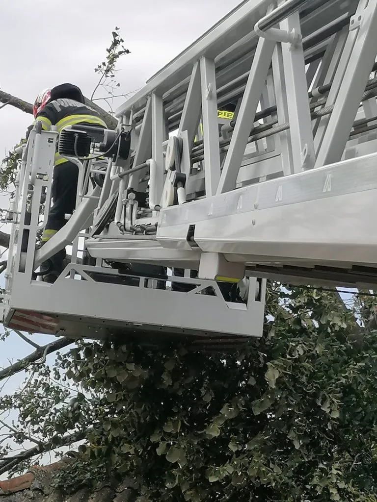 Codul GALBEN de vânt a făcut pagube și la Tulcea – foto 2