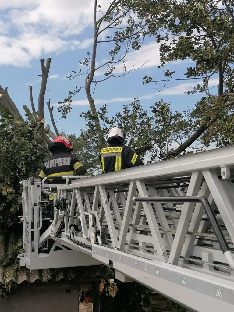 Codul GALBEN de vânt a făcut pagube și la Tulcea – foto 3