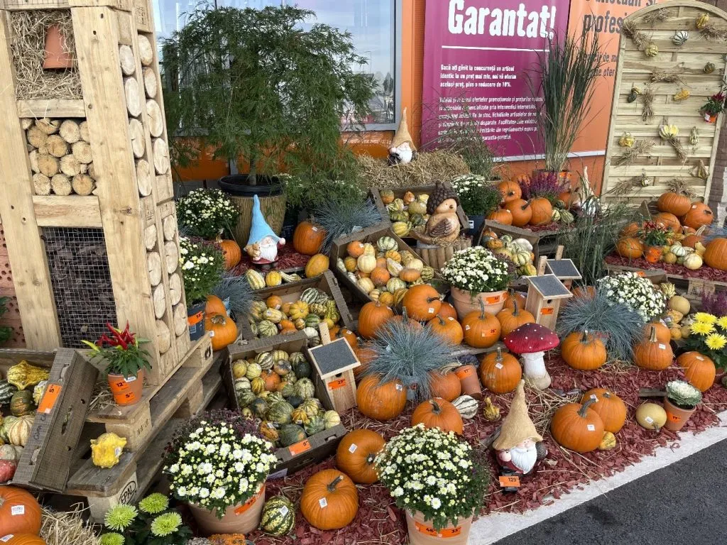 HORNBACH își deschide porțile la Constanța – foto 12