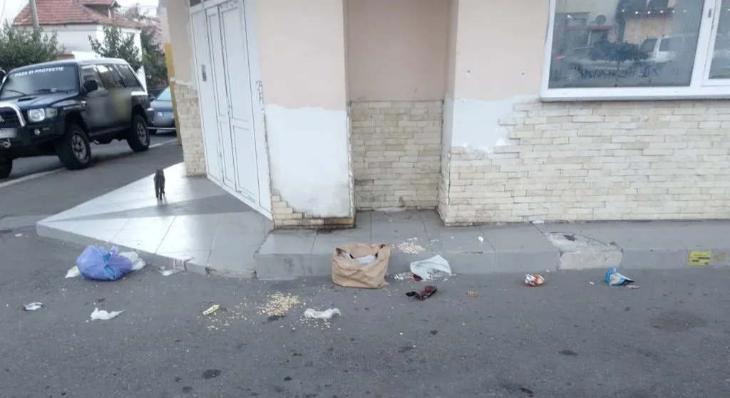 Peste 240 de amenzi pentru depozitarea ilegală de deșeuri pe domeniul public – foto 3