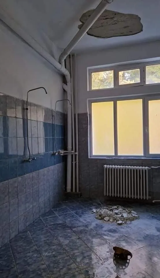 Avocatul Poporului, concluzii după verificările la Academia de Poliție  – foto 4