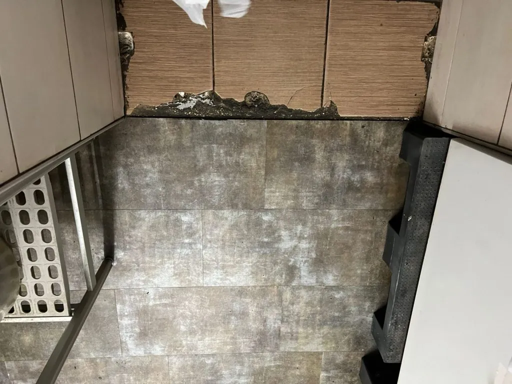 Restaurant din Constanța, închis de ANPC: gândaci, rugină, ambalaje refolosite și infiltrații în tavan (FOTO/VIDEO) – foto 7