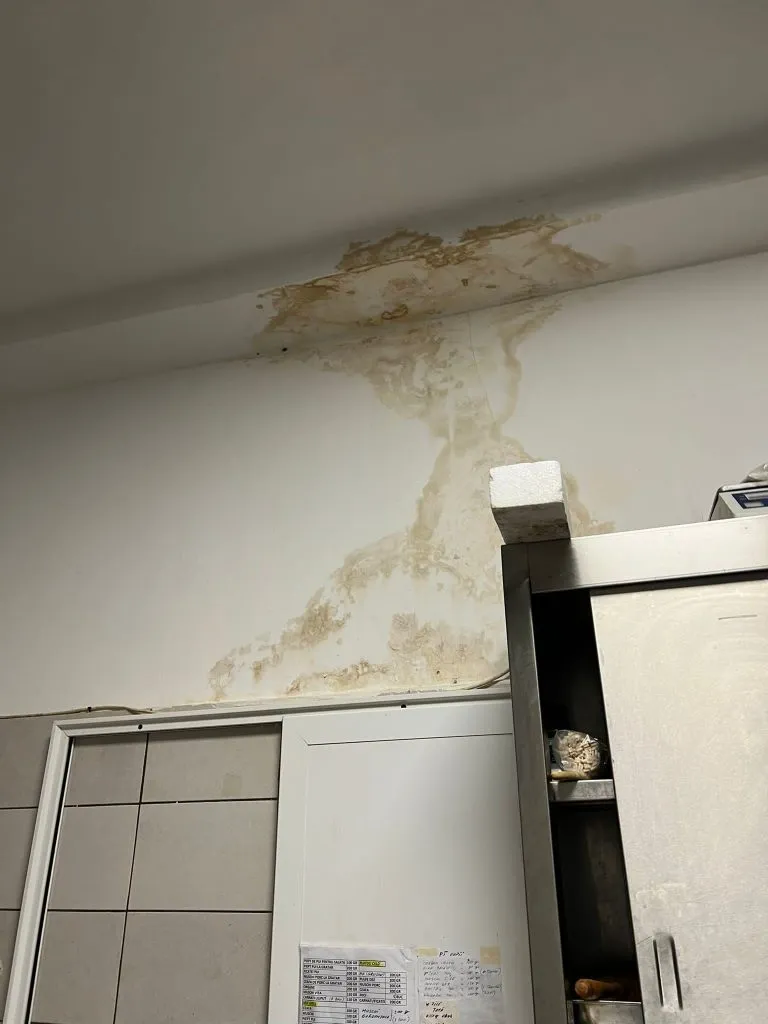 Restaurantul Delfinul, închis și amendat din nou de Protecția Consumatorului – foto 7