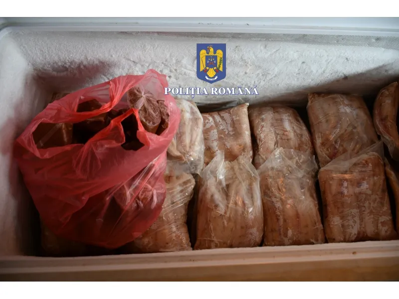 Bilanț alarmant! Delta Dunării, raiul braconierilor! – foto 3