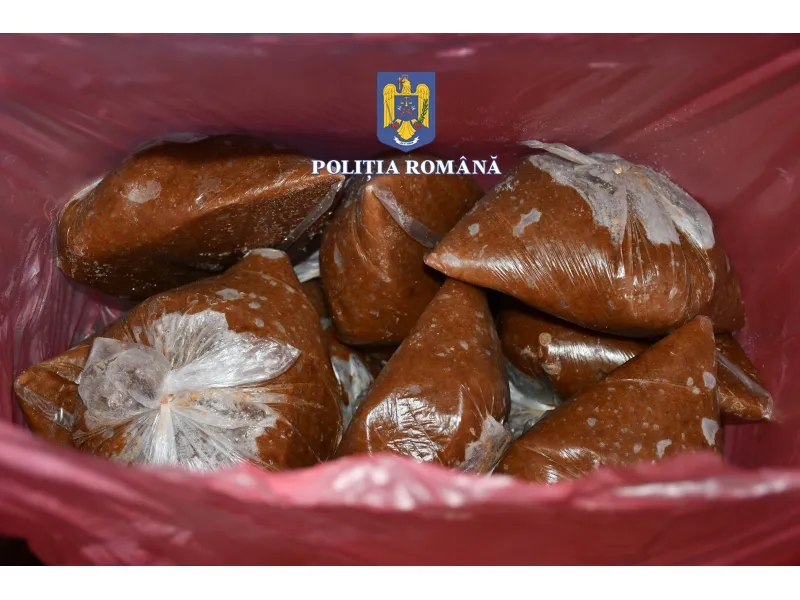 Bilanț alarmant! Delta Dunării, raiul braconierilor! – foto 5