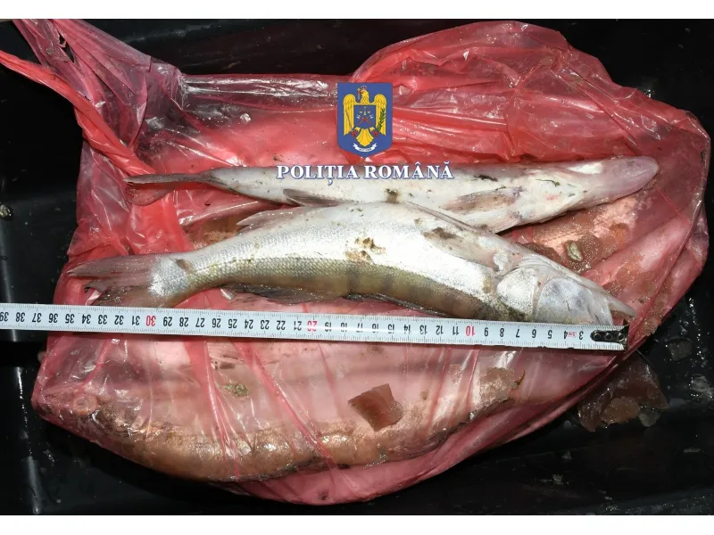 Bilanț alarmant! Delta Dunării, raiul braconierilor! – foto 7