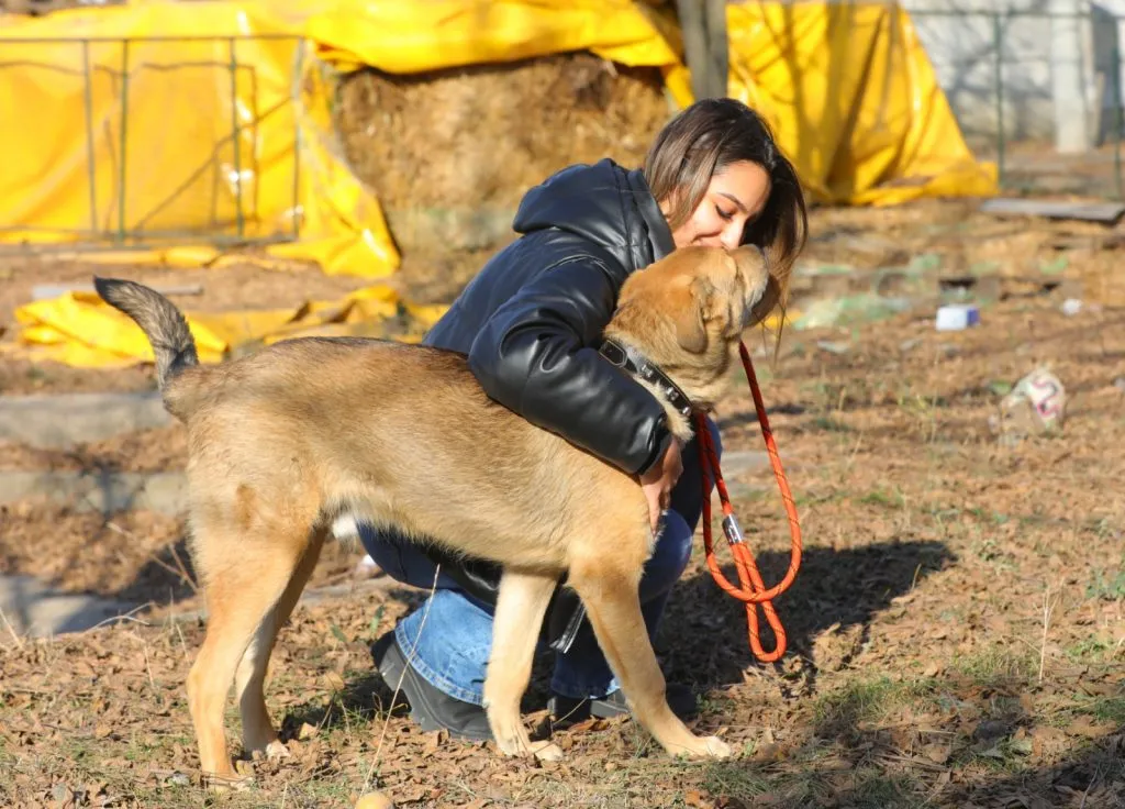 Cățelul Max și-a găsit o nouă familie – foto 4