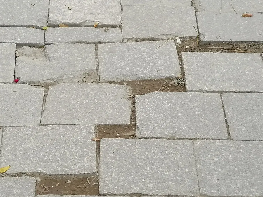 FOTOREPORTAJ: Centrul vechi, epicentrul unui mic „cutremur“ – foto 6