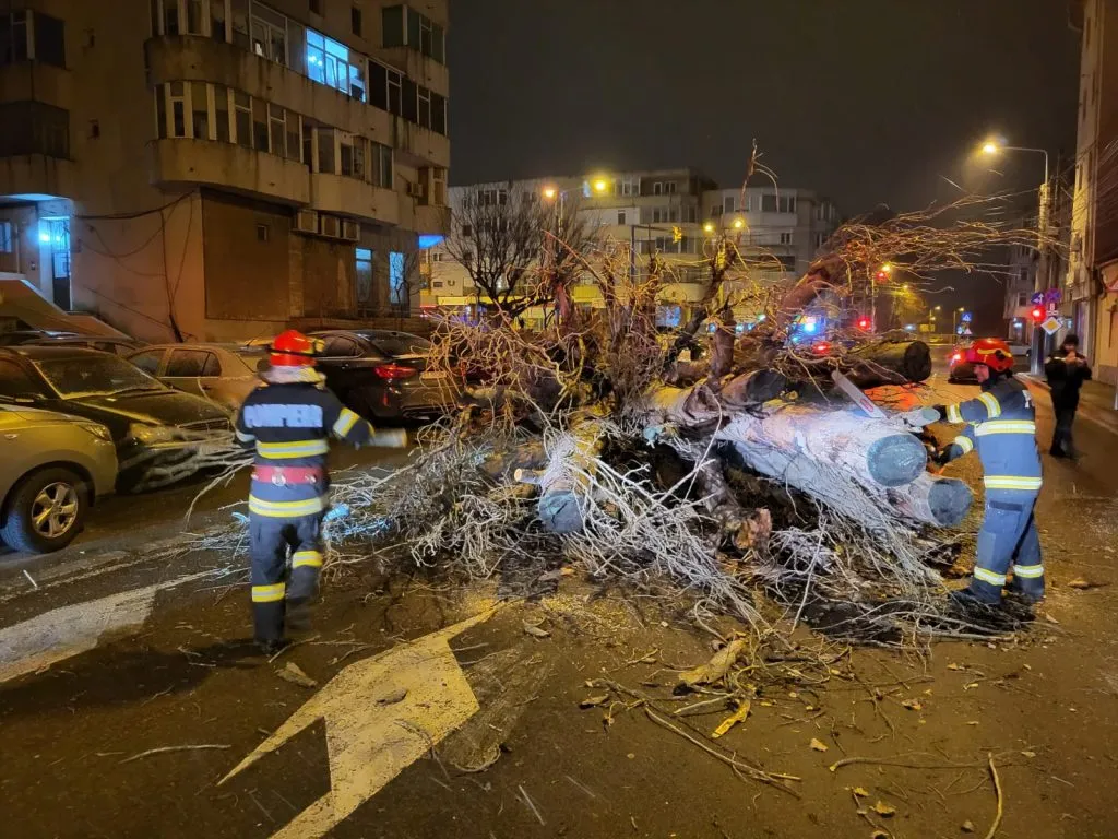 Copac prăbușit pe strada Mircea cel Bătrân – foto 2