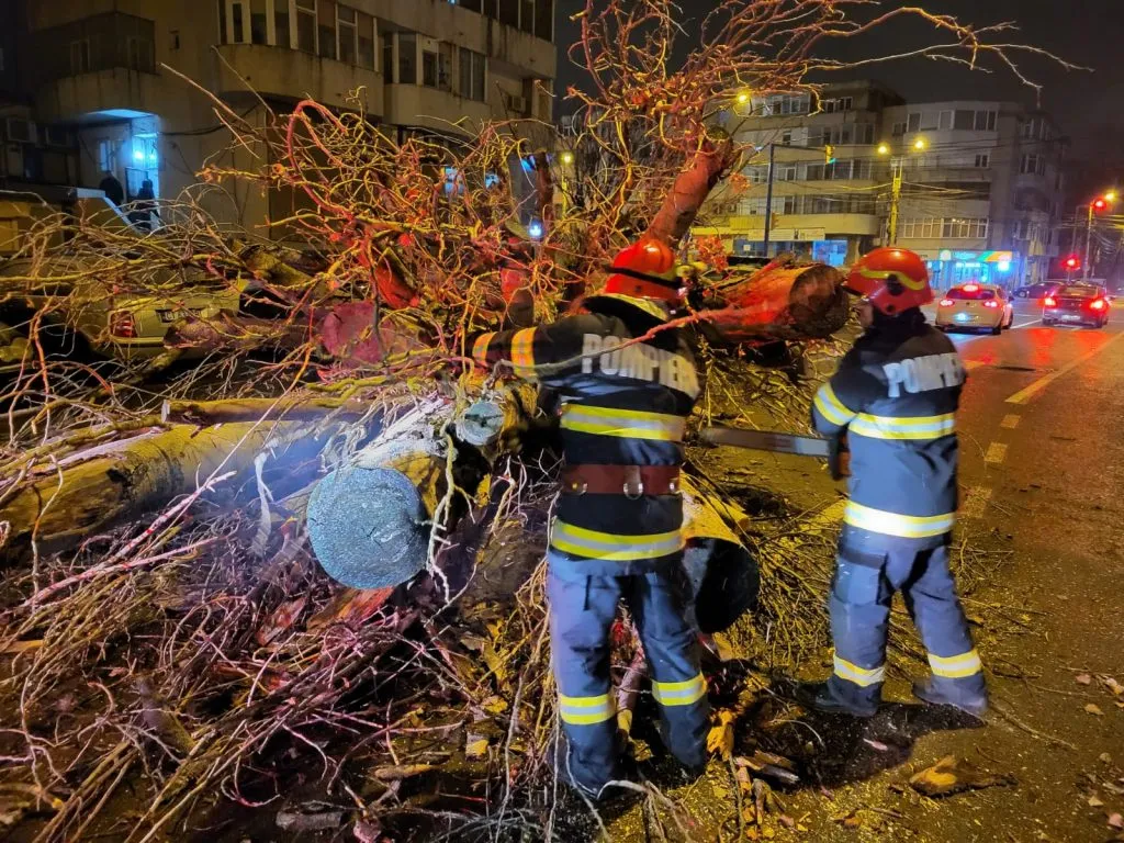 Copac prăbușit pe strada Mircea cel Bătrân – foto 4