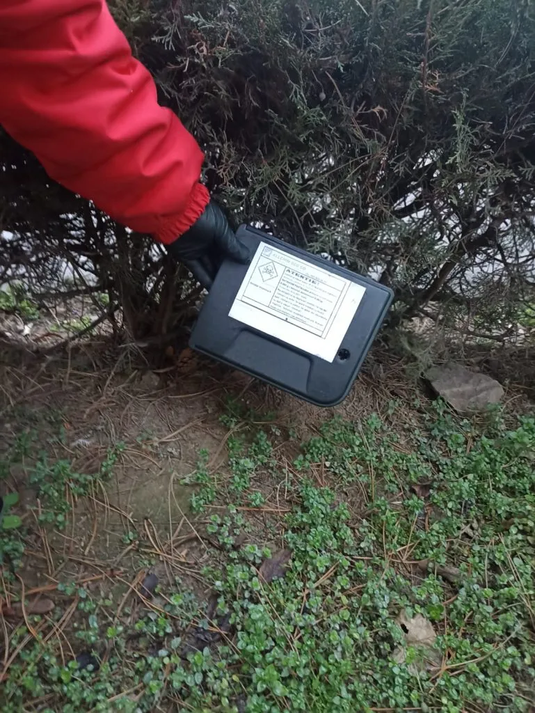 Atenție, constănțeni! Se montează noi momeli toxice – foto 2