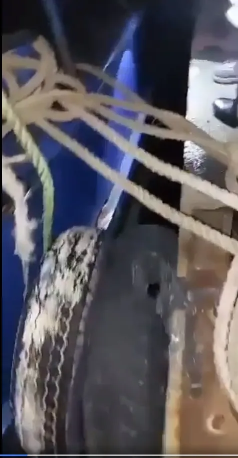 Eroul Paul. A coborât de pe navă și a salvat un cățel căzut în mare! – foto 2