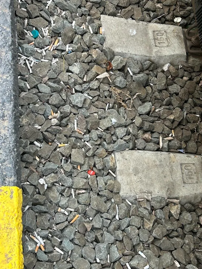 Covorul indolenței, pe peronul Gării Constanța (FOTO/VIDEO) – foto 5
