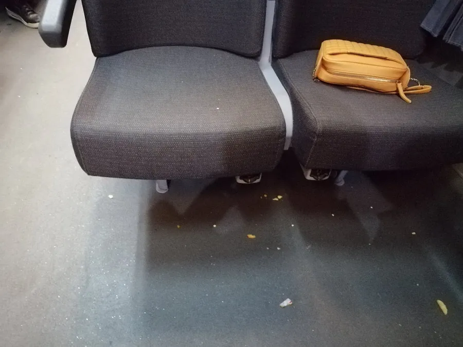 Să luăm și bunul simț în bagaj! Iată imaginile rușinii, din tren! – foto 3