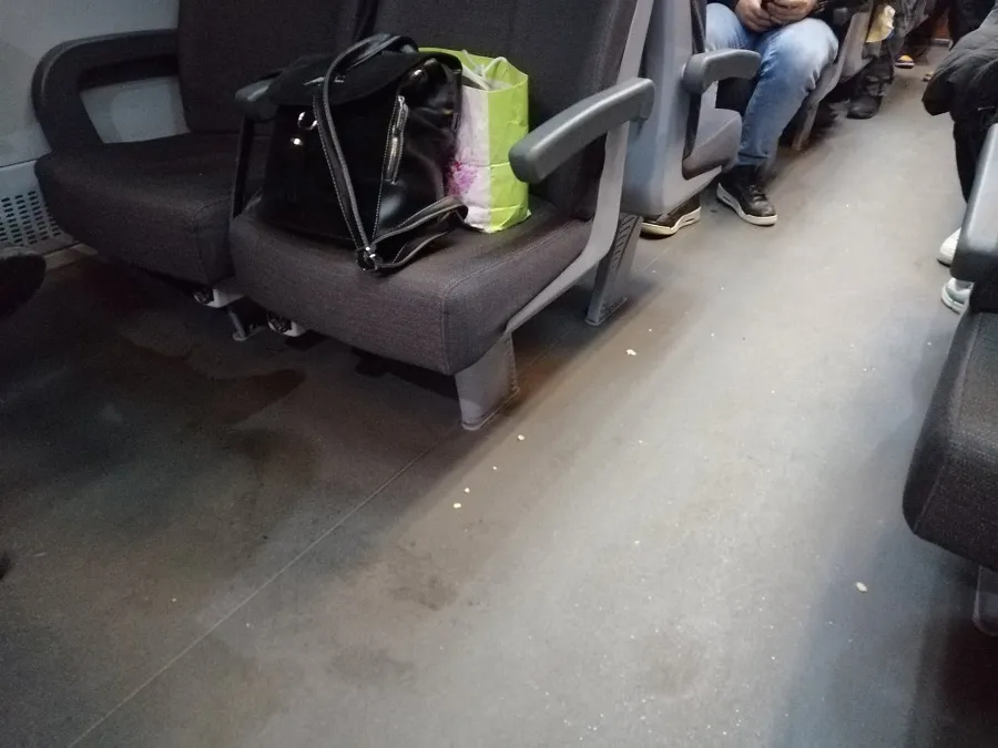 Să luăm și bunul simț în bagaj! Iată imaginile rușinii, din tren! – foto 4