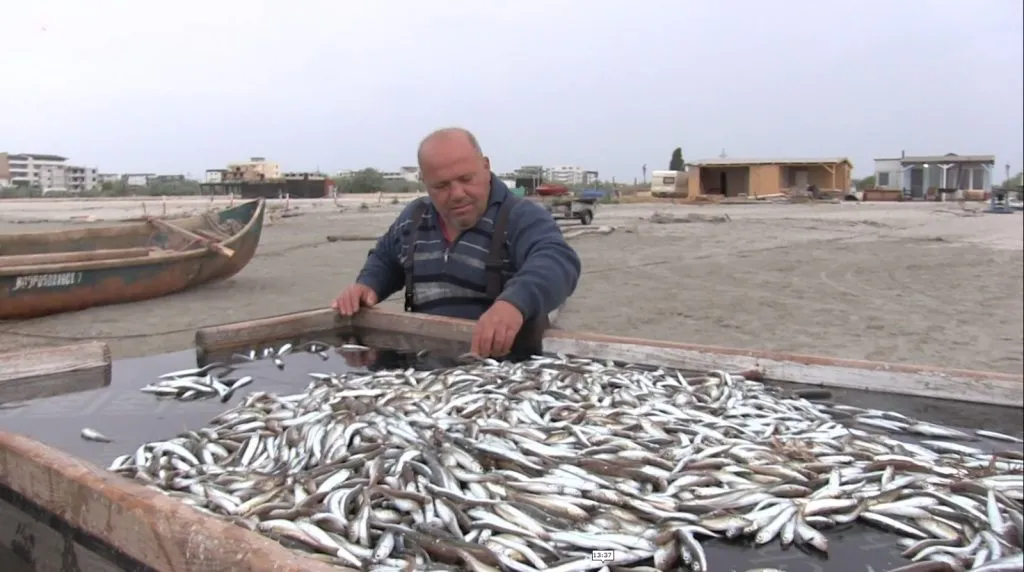 Pescuitul la Marea Neagră, încotro? – foto 2