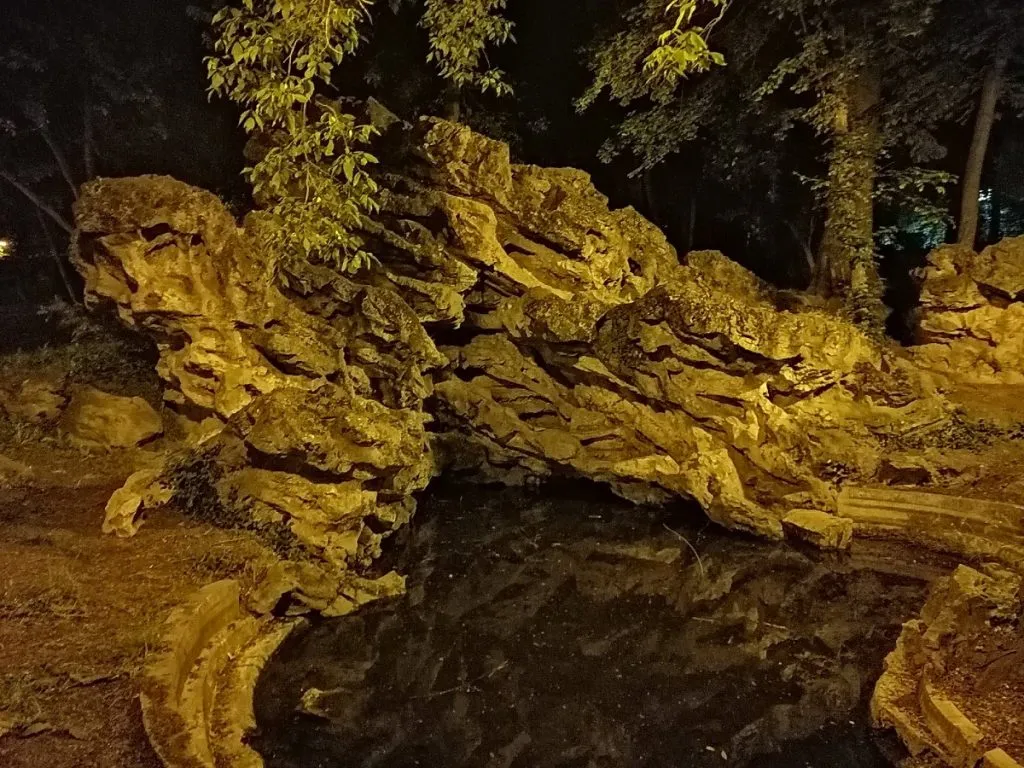Diferență uriașă între arborii din București și cei din Constanța – foto 3