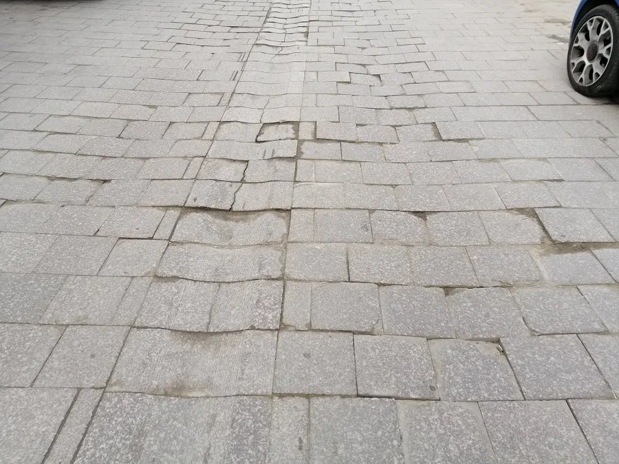 Film real constănțean: Cu pavajul la psihiatru! – foto 3