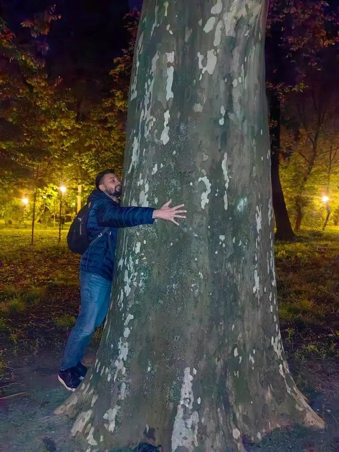 Diferență uriașă între arborii din București și cei din Constanța – foto 4