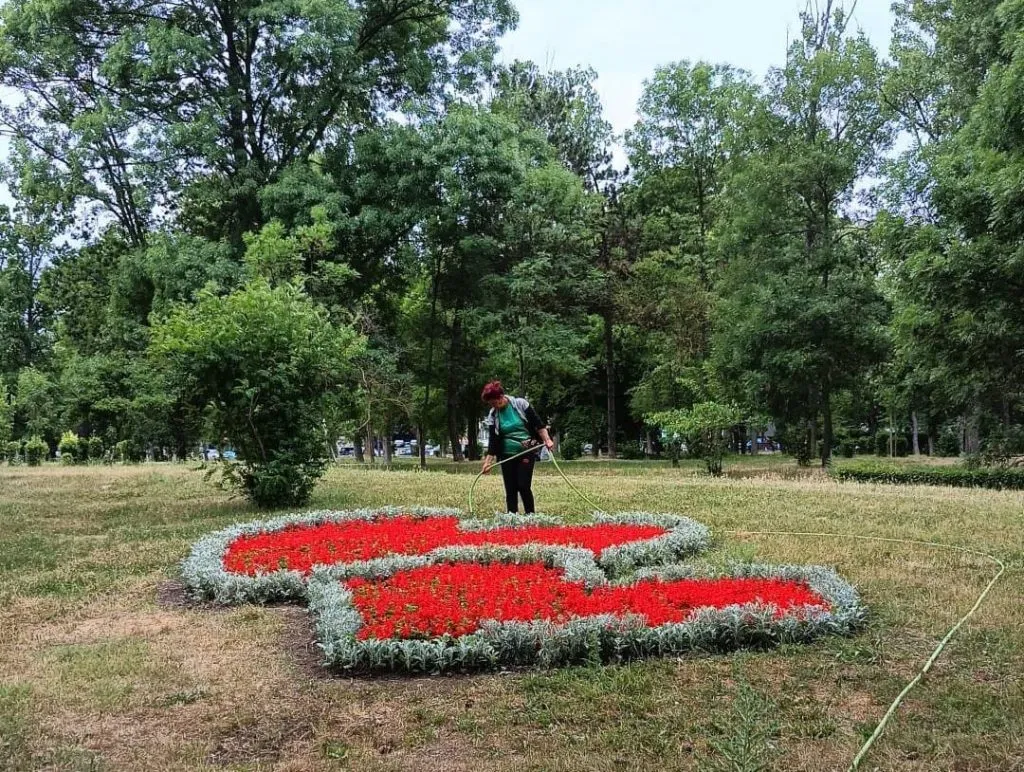 Chelul și tichia cu mărgăritare: peste 100.000 de flori, plantate în orașul gropilor și al excavatoarelor  – foto 2