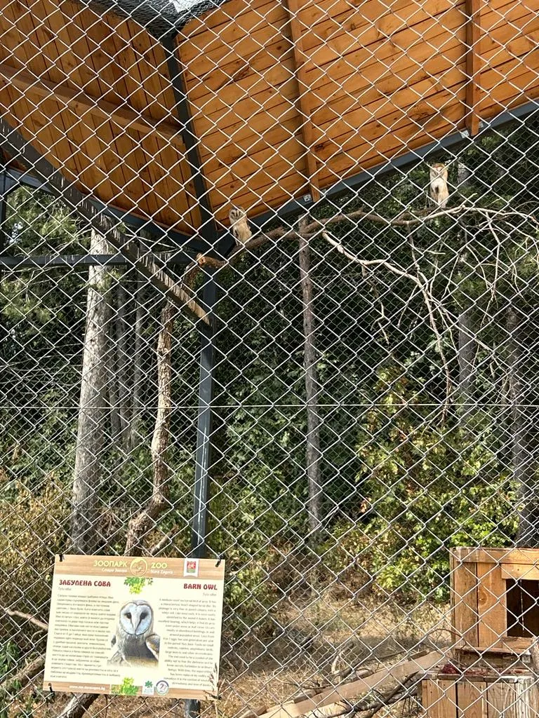 Când pădurea e parc-bijuterie, nu coș de gunoi sau pârloagă. Parcul Ayazmoto, Stara Zagora (FOTO)  – foto 14