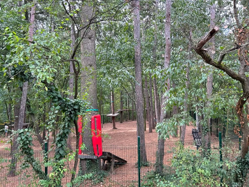 Când pădurea e parc-bijuterie, nu coș de gunoi sau pârloagă. Parcul Ayazmoto, Stara Zagora (FOTO)  – foto 5