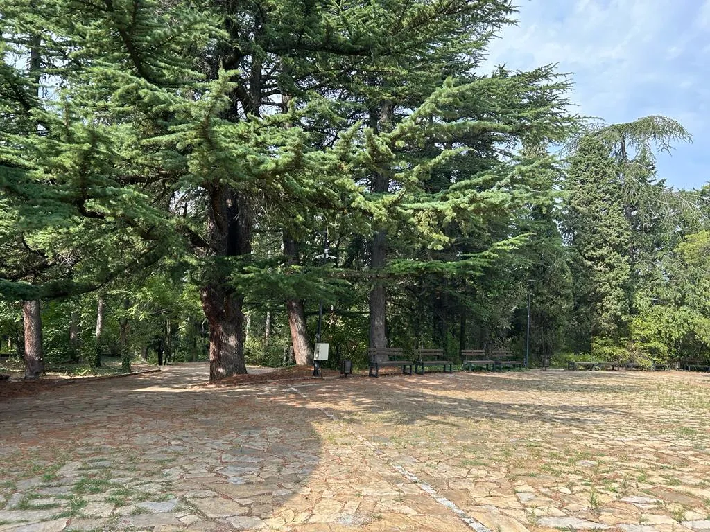 Când pădurea e parc-bijuterie, nu coș de gunoi sau pârloagă. Parcul Ayazmoto, Stara Zagora (FOTO)  – foto 10