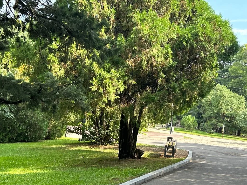 Când pădurea e parc-bijuterie, nu coș de gunoi sau pârloagă. Parcul Ayazmoto, Stara Zagora (FOTO)  – foto 3