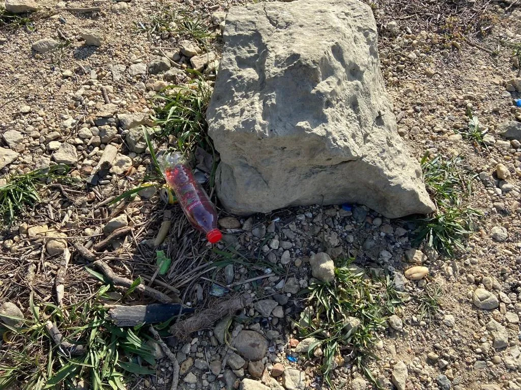 Maeștri în a crea „oaze ale… plasticului”… Malul Dunării, Cernavodă (FOTO) – foto 8