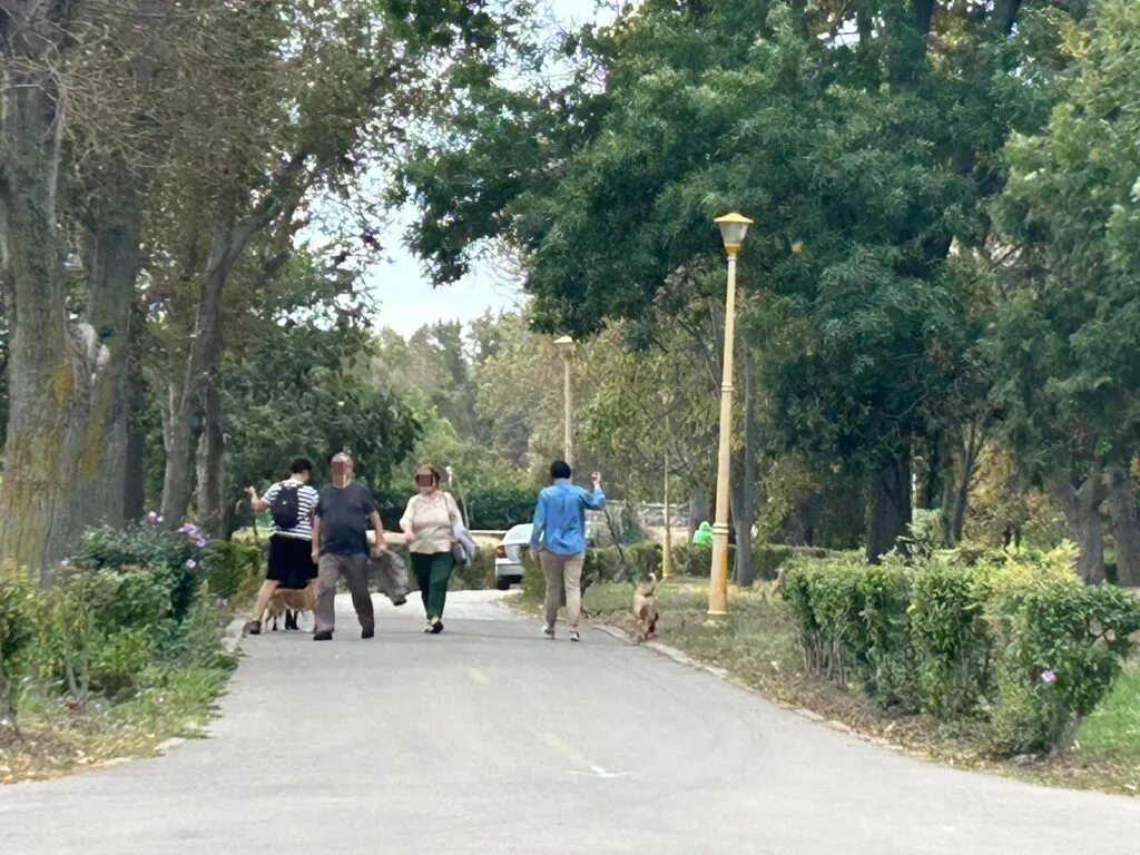 Bunul simț, pe frână. Cu mașina ca pe stradă, pe aleile din Parcul Tăbăcărie (FOTO/VIDEO) – foto 4