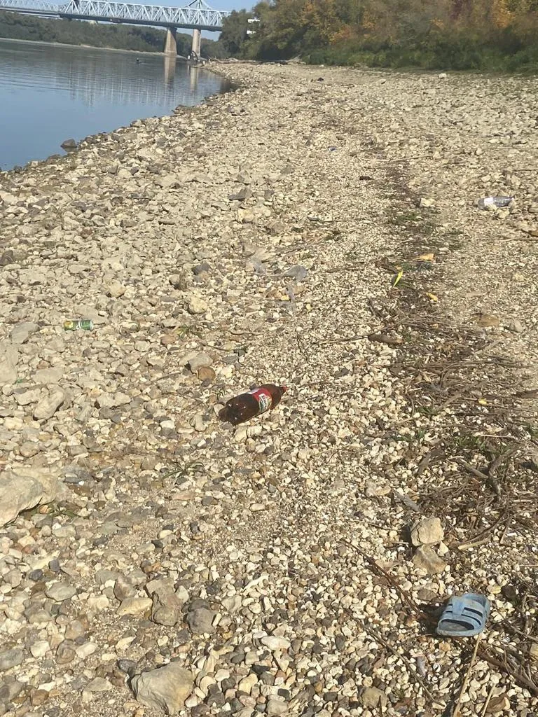 Maeștri în a crea „oaze ale… plasticului”… Malul Dunării, Cernavodă (FOTO) – foto 10